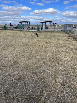 Dog Park at Chapin Park